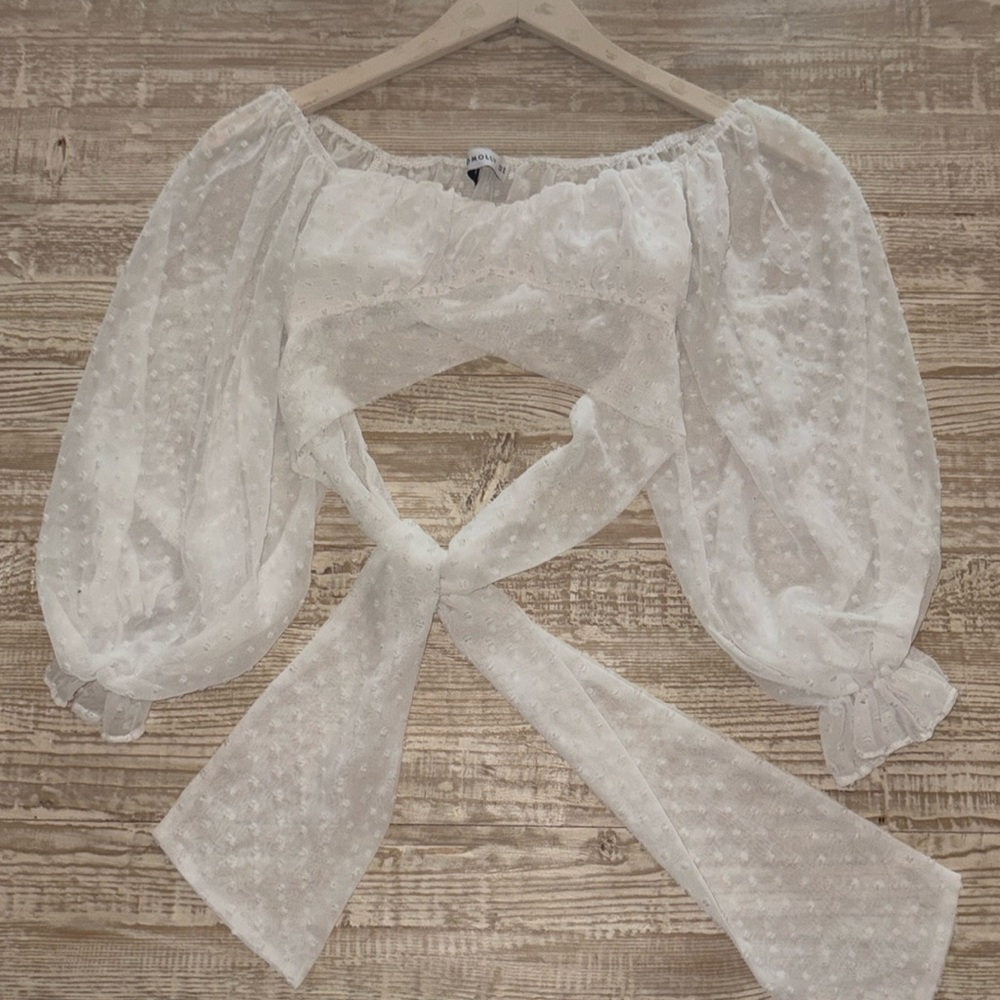 Hello Molly White Sheer Crop Top